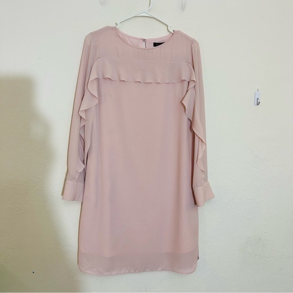 Banana Republic Ruffle Sleeve Blush Light Pink Casual Mini Dress Size 2